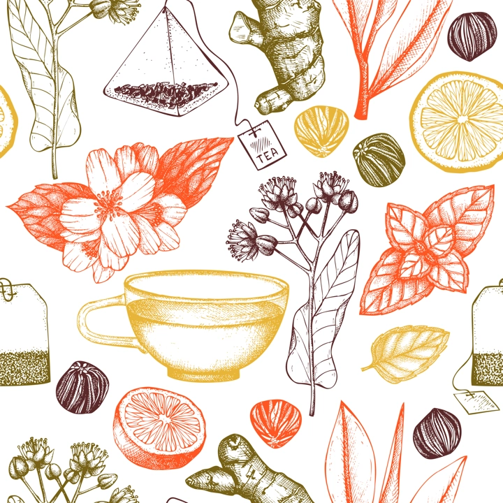 Tea seamless pattern. Herbal tea ingredient background. Herb, spice, fruit, berry sketches. Hand-drawn vector illustration. NOT AI generated